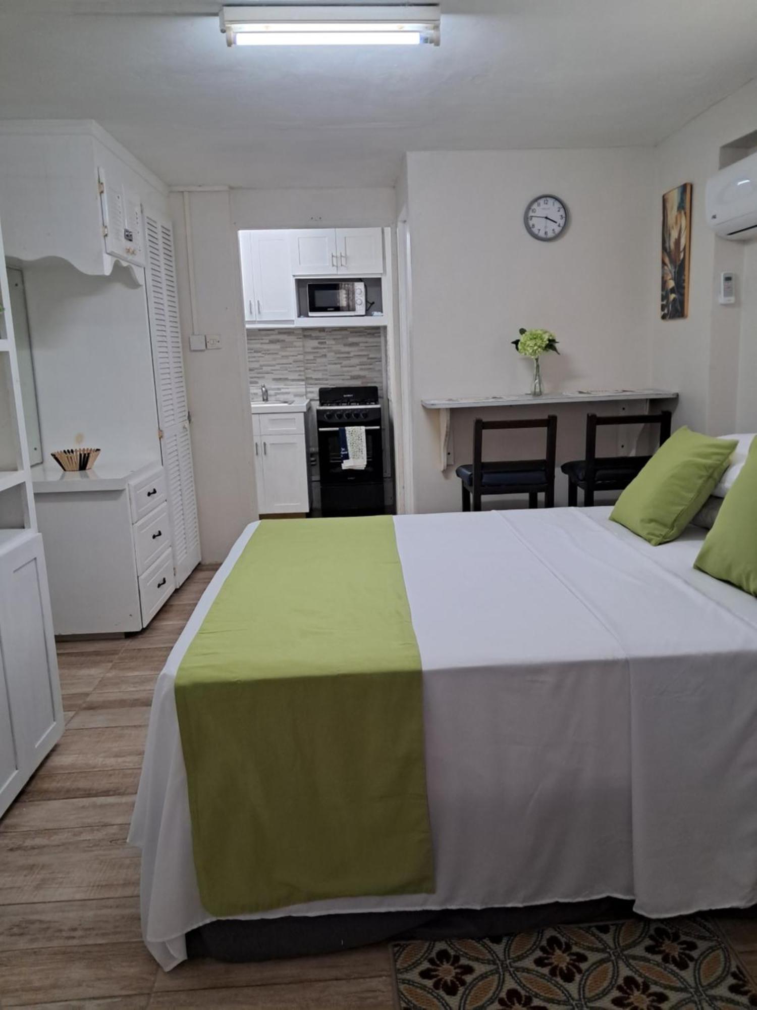 Michand Guest Apartments- Cozy One Or Two Bedroom- 5 Walk Minutes From Airport 10 Mins Drive To Oistins Or Beach Крайст-Черч Экстерьер фото